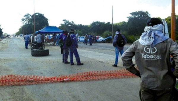 Tabacal de la muerte: falleció otro obrero por covid-19 en el ingenio de Salta