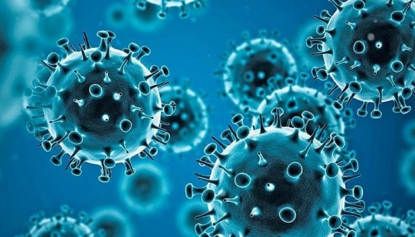 Coronavirus: se registraron 96.652 casos y 88 muertes