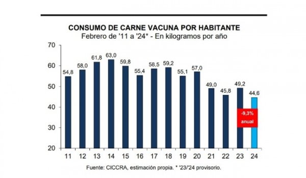 Se derrumbó el consumo de carne vacuna: es el peor índice en los últimos 30 años