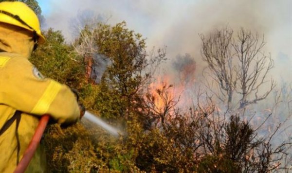 Paro de los trabajadores del Parque Nacional Nahuel Huapi