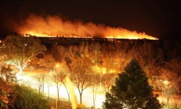 Ya son 407 los focos de incendio en el Delta del Paraná