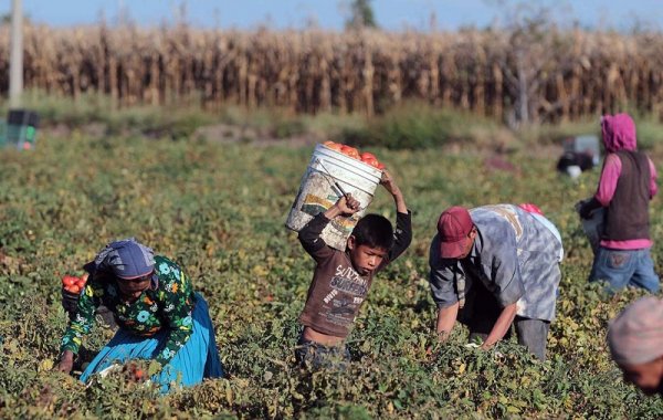 Corrientes: peones rurales recibirán indemnización por explotación laboral