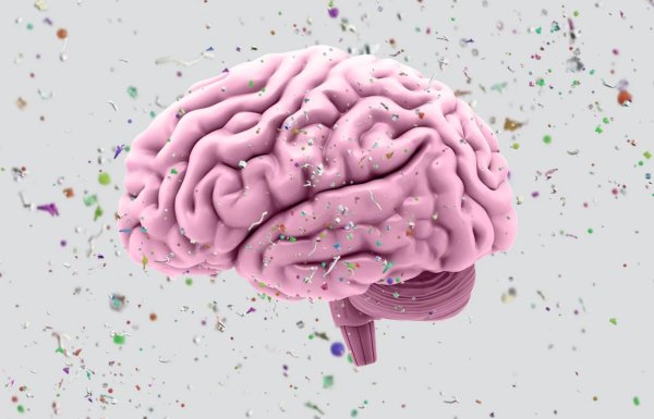 Estudio sugiere que los niveles de microplásticos en el cerebro humano podrían estar aumentando rápidamente