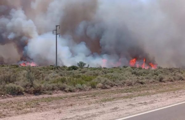 Otro incendio en Río Negro, la Ruta Nacional 22 cortada