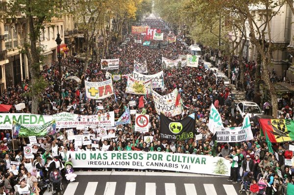 Histórico: se inaugurará el taller de Mujeres y Cannabis en el Encuentro Nacional de Mujeres