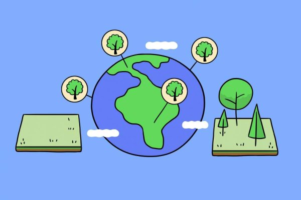 Reforestación a escala mundial. ¿La salida de la crisis climática?