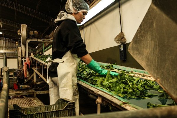  Fábrica La Terre: trabajadores impulsan la donación de 50.000 raciones de alimentos