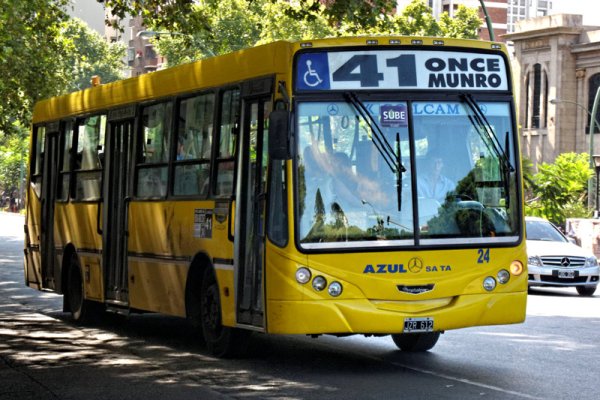 “Se está dando en forma cada vez mayor el despido de activistas en varias líneas”