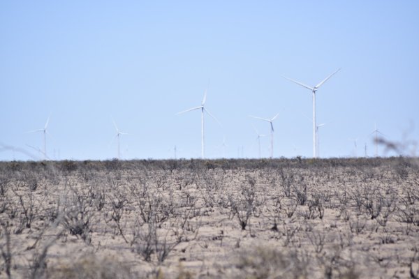 Cómo quedaron las casi 90 mil hectáreas incendiadas en Puerto Madryn: imágenes de la desolación