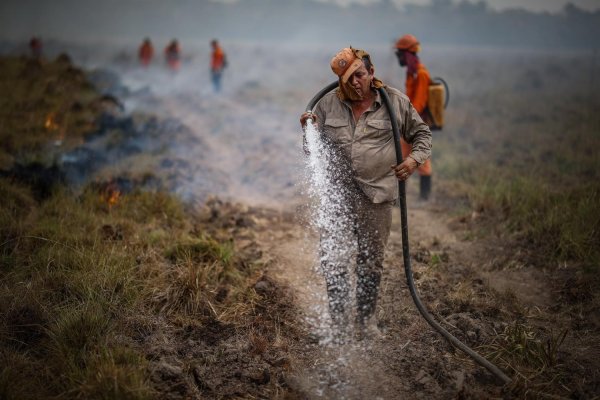 Impactantes imágenes de la crisis ambiental en Corrientes