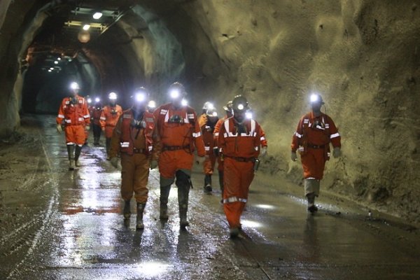 Hasta el 2030: Norma transitoria pretende quitar derecho a huelga a sectores estratégicos de la economía