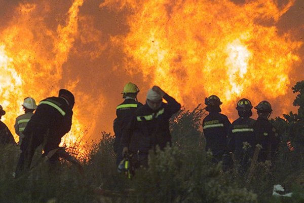 Históricos incendios: "Estamos en una guerra. Esto es un desastre. Nunca había visto esto"