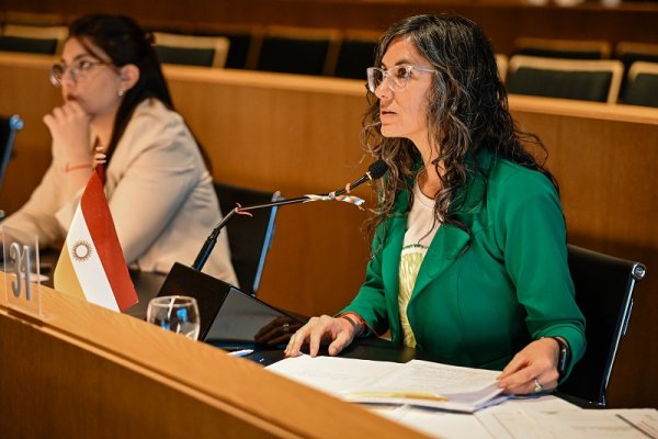 [Video] El Frente de Izquierda rechazó el presupuesto de Passerini