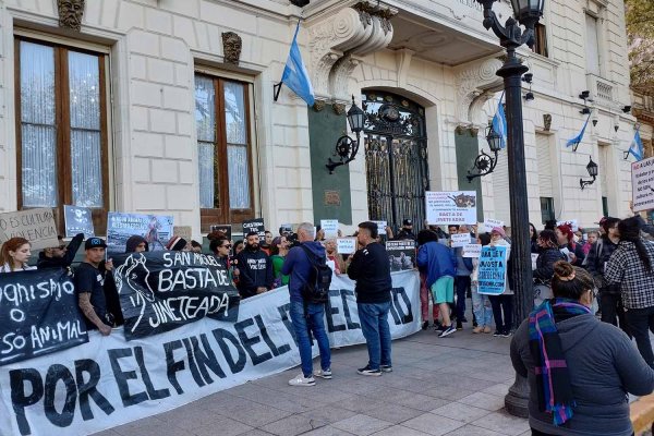 Repudio contra los golpes sufridos por activistas veganos que protestaban contra la jineteada organizada por el municipio 