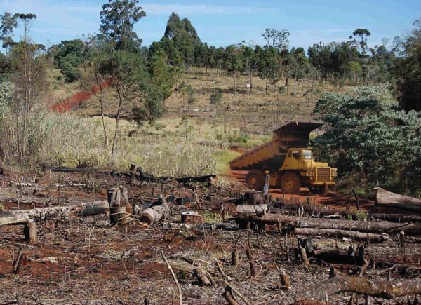 Santa Fe: inundaciones, deforestación y explotación de la tierra