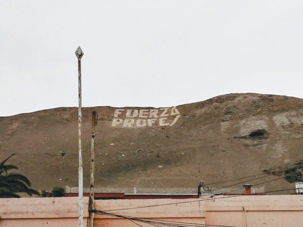 "Fuerza Profe!": Arica amanece con tizado en un cerro