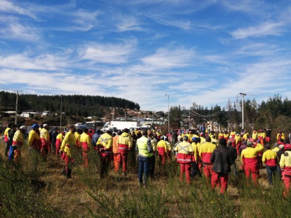 Federación de trabajadores subcontratados se defienden de Forestal Arauco contra despidos y exclusión de beneficios