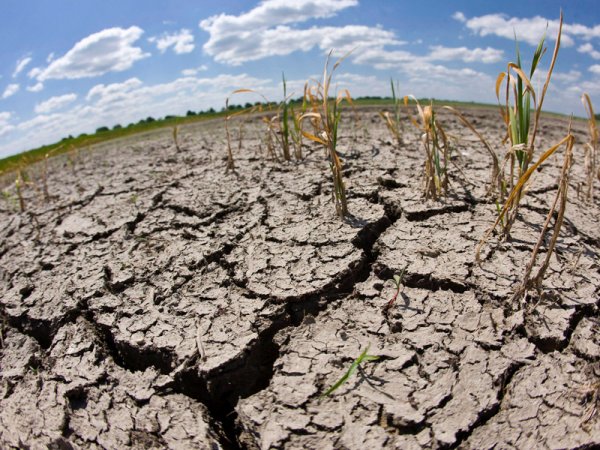 El Niño, el cambio climático y la feroz sequía que golpea a Centroamérica