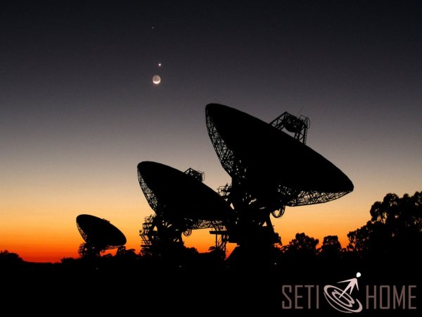 SETI HOME: diecisiete años buscando vida inteligente en el espacio desde la comodidad del hogar