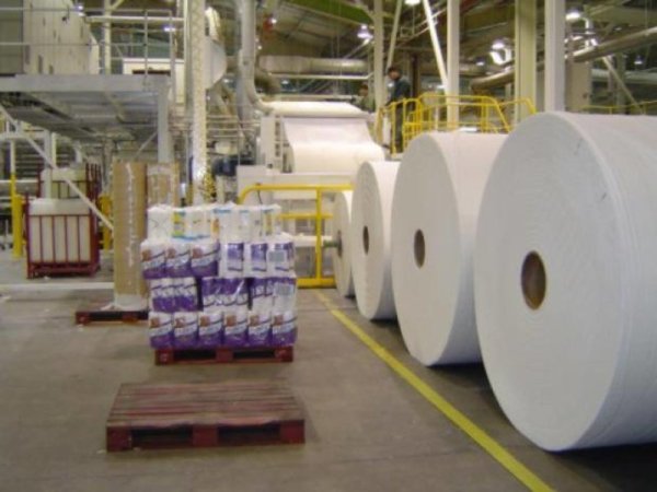 Papelera Samseng: trabajar bajo el látigo de los empresarios chinos 