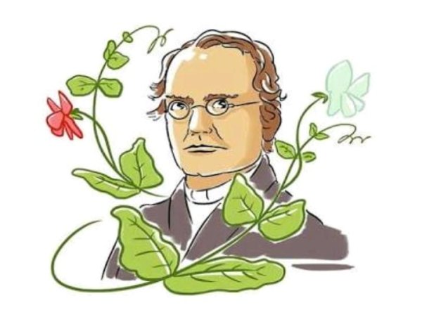  Mendel: el padre de la genética moderna 