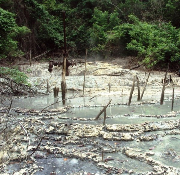 Actividad petrolera ilegal y contaminante en el Parque Nacional Calilegua