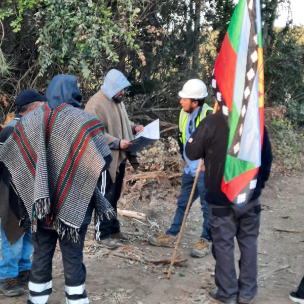 Comunidades mapuche acusan a Forestal Arauco de graves vulneraciones la posesión ancestral y pacífica