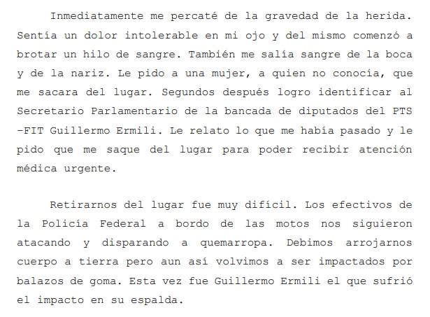 Extracto del escrito presentado ante el juez Ercolini