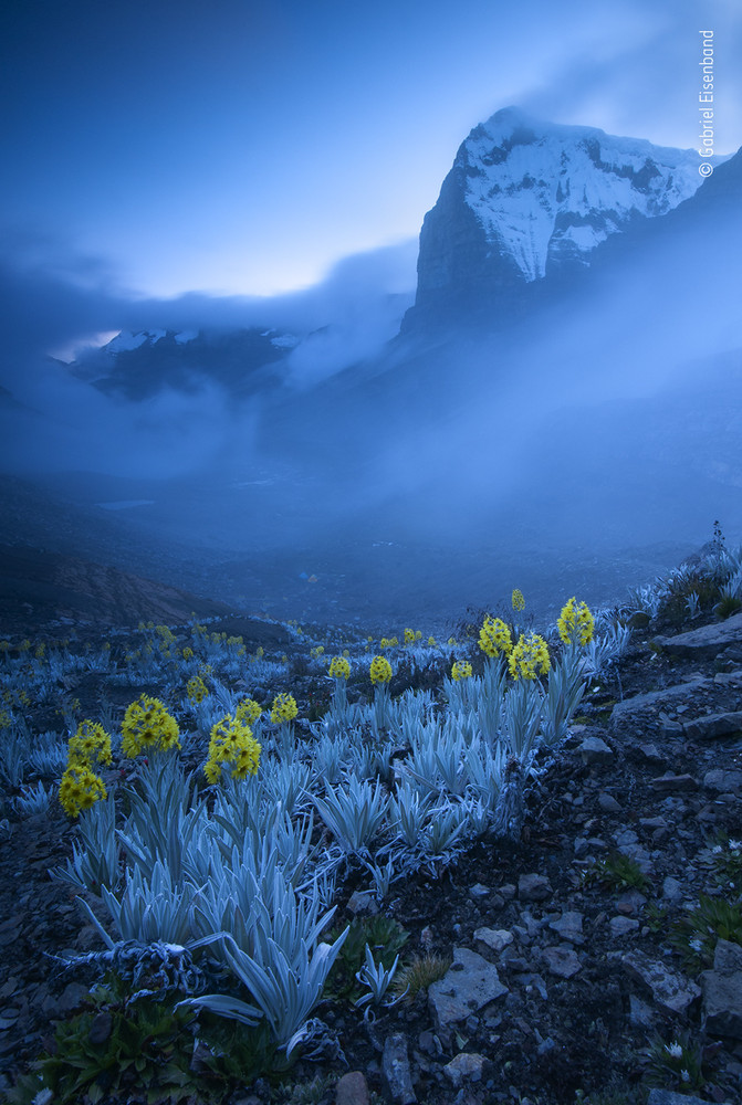  Out of the blue • Gabriel Eisenband en la categoría Plantas y hongos