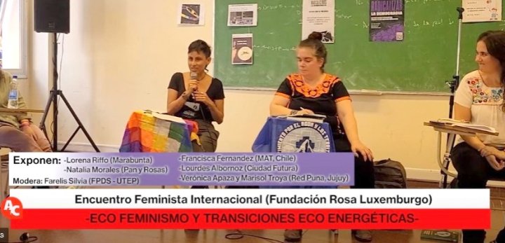 Panel Ecofeminismos y transiciones ecosociales - Jornadas feministas. Fundación Rosa Luxemburgo.