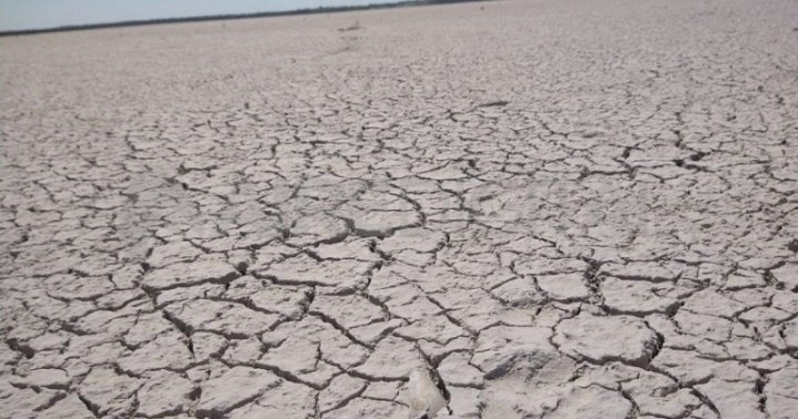 Un desierto: así luce acualmente la Laguna Paiva.