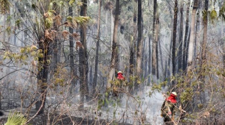 Foto: fuego en Otuquis (ANF)