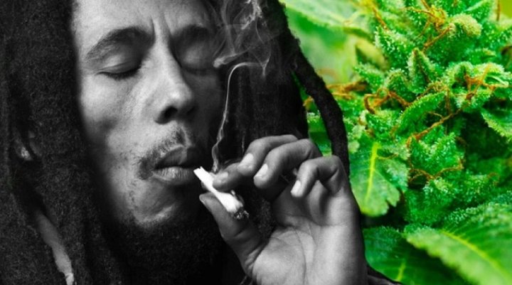 Bob Marley | Composición Revista Cáñamo