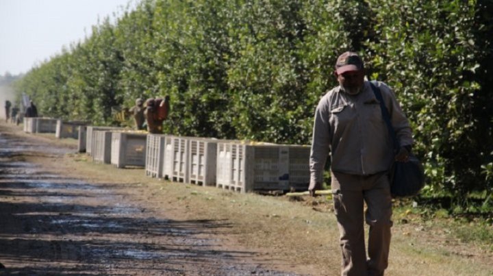 Trabajador rural precarizado del citrus en Tucumán Pedro Scrouch.