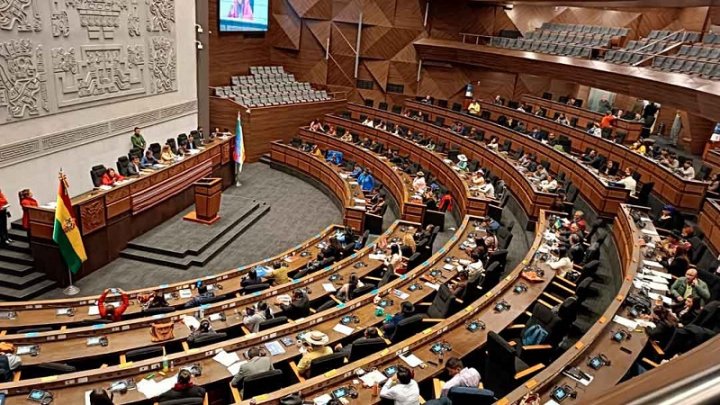 Foto: Asamblea Legislativa Plurinacional (ALP) - redes sociales