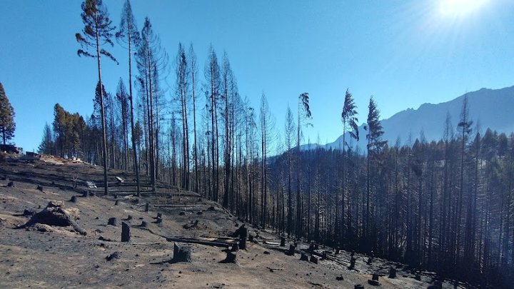 Foto: tierra arrasada por los incendios en la Comarca Andina de 2021 | Gioia Claro