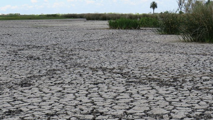 Sedimentos de capas profundas del suelo, cuya superficie incluidas flora y fauna fue destruida y alterado el curso natural de agua (foto Pablo Varela).