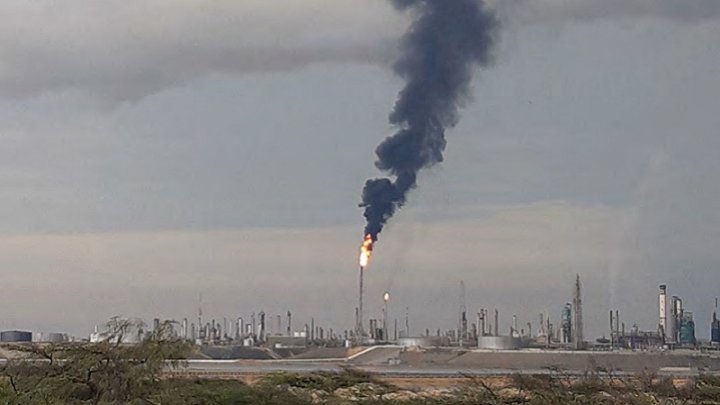 Mechurrio en la Refinería de Amuay, Punto Fijo. Foto OEP (2022)