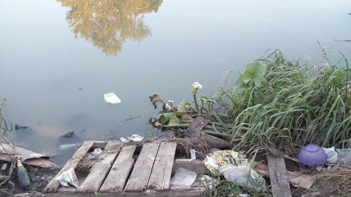 Foto: Orilla del arroyo El Gato, en el barrio Ringuelet de La Plata - abril de 2013 | La Izquierda Diario