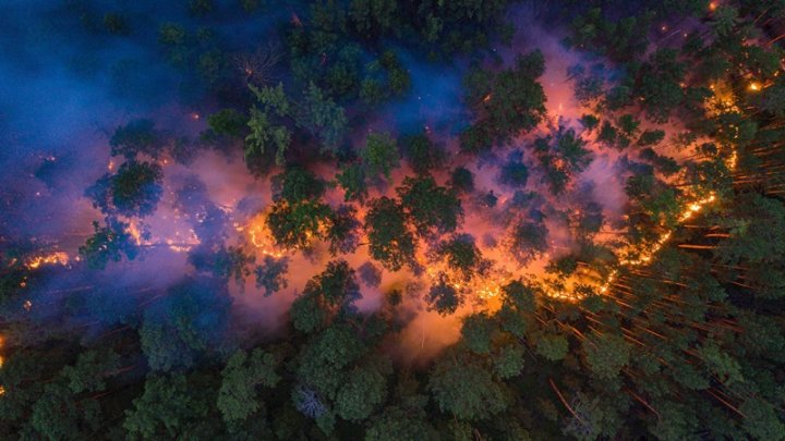 Incendios en Siberia.