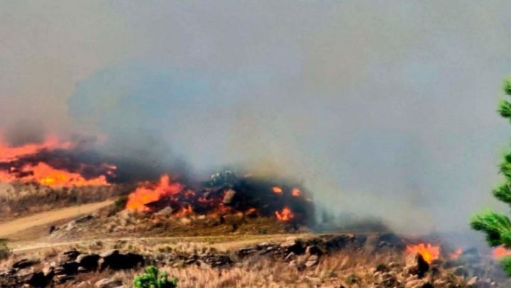 Incendios forestales en Córdoba | Prensa Gobierno de Córdoba - Télam