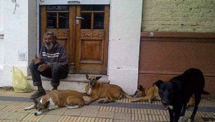 Foto: Roberto Castro, hombre en situación de calle junto a perros | La Verdad de Junín