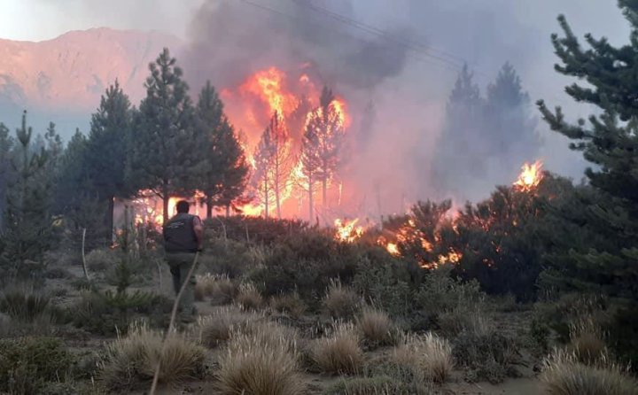 Foto: Prensa Municipalidad de El Bolsón