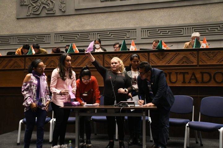 La sesión de la Cámara de Diputados que aprobó la Ley. (Foto: La Razón)