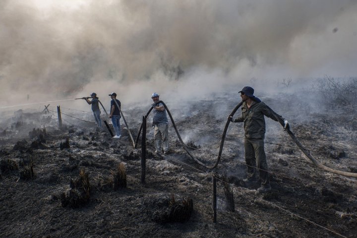 Fotos: Incendios en Corrientes | Pepe Mateos - Télam