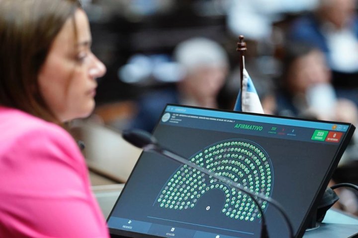 Cecilia Moreau, presidiendo la última sesión de la Cámara de Diputados l Foto: HCDN