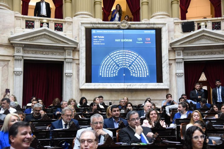 Este martes se realizó la única sesión del período de extraordinarias en la Cámara de Diputados l Foto: HCDN