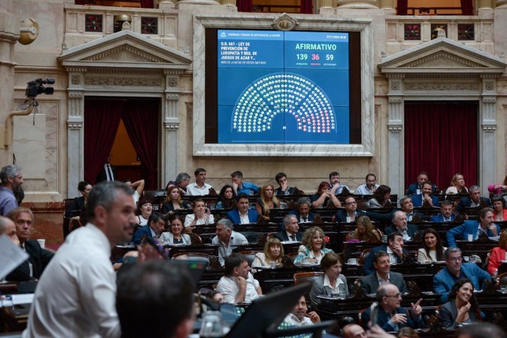 Diputados dio media sanción a la ley para prevenir la ludopatía y regular las apuestas online l Foto: HCDN