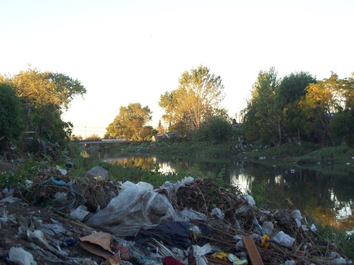 Orilla del arroyo El Gato llena de basura, a la altura del barrio platense de Ringuelet.