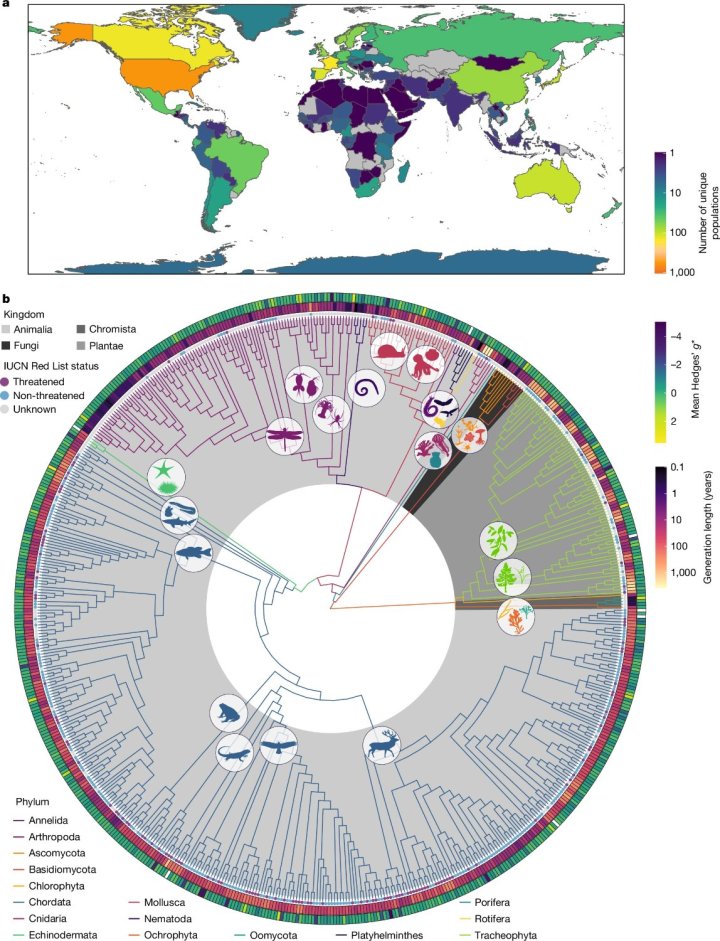 Mapa mundial con colores que representan el número de poblaciones únicas incluidas y representación filogenética de los casos estudiados